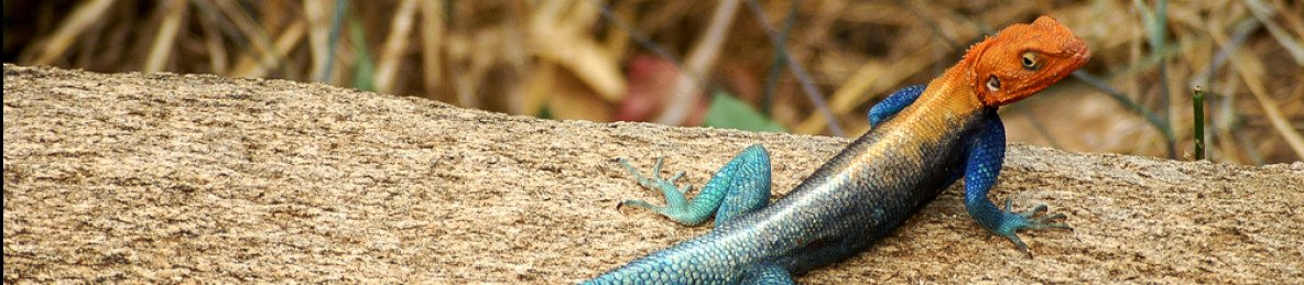 3-Day Ngutuni & Taita Hills Private Sanctuaries