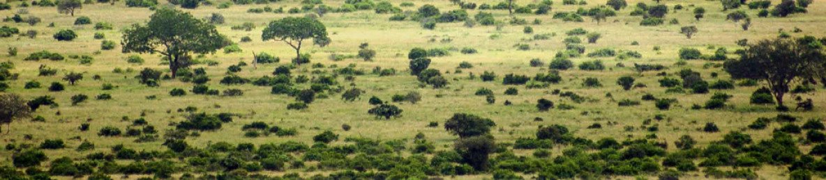 2-Day Ngutuni Wildlife Tsavo East & Cultural Safari