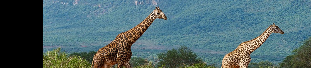 7-Day Affordable Top Unique Kenya Safari Highlight