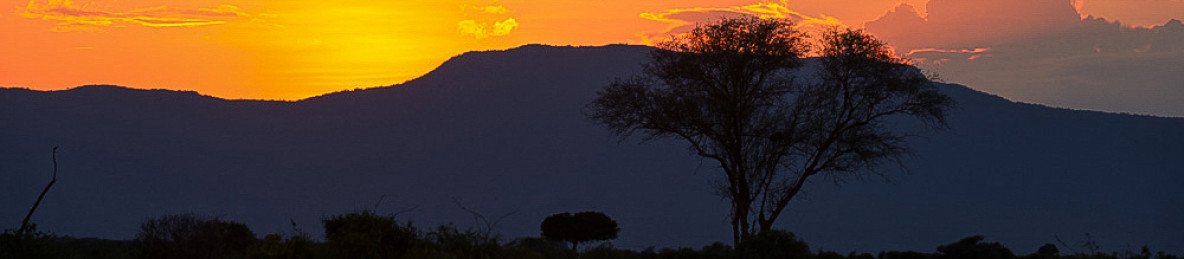 2-Day Masai Mara; Africa's Majestic Wildlife Paradise