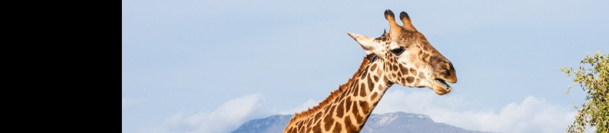 2-Day Mombasa Tsavo East Safari