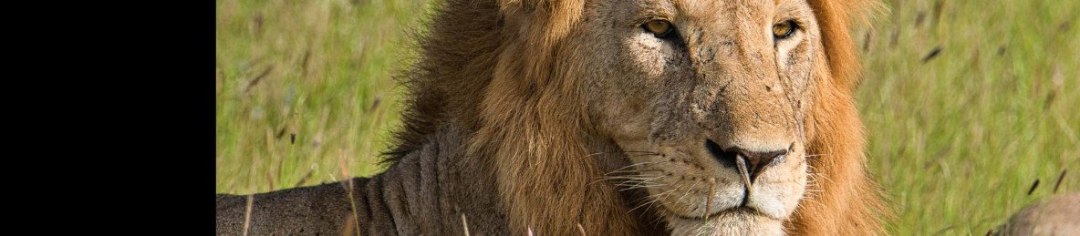 3-Day Tsavo East-Taita Hills Memorable Wildlife Safari