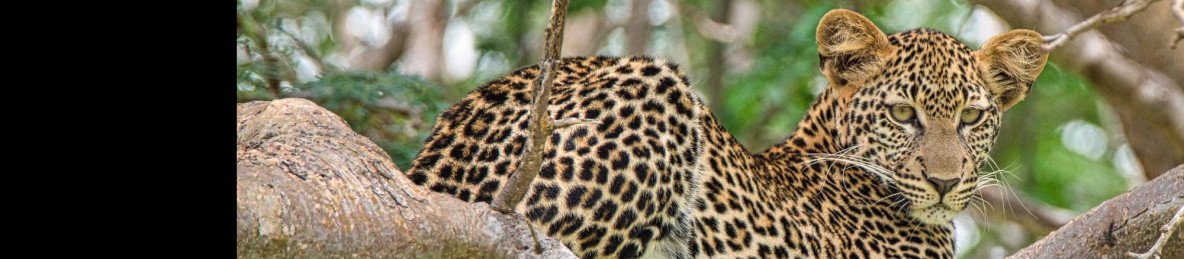 8-Day Amboseli, Tsavo & Coastal Bliss