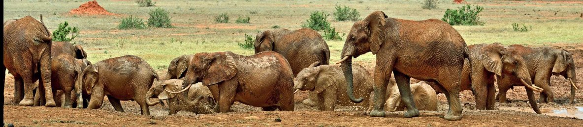 9-Day Safari Across Kenya's Scenic and Wildlife Treasure