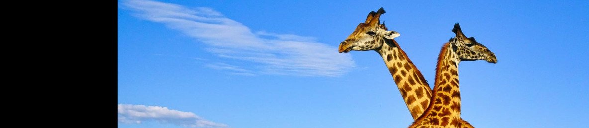 1-Day Lake Naivasha Boat Ride & Hell's Gate Cycling Tour
