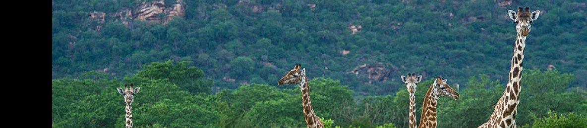 5-Day Amboseli, Ziwani, Taita Hills & Tsavo East by Jeep