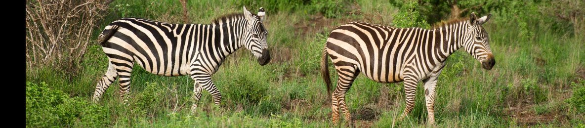 1-Day Tsavo East National Park Safari from Mombasa/Diani