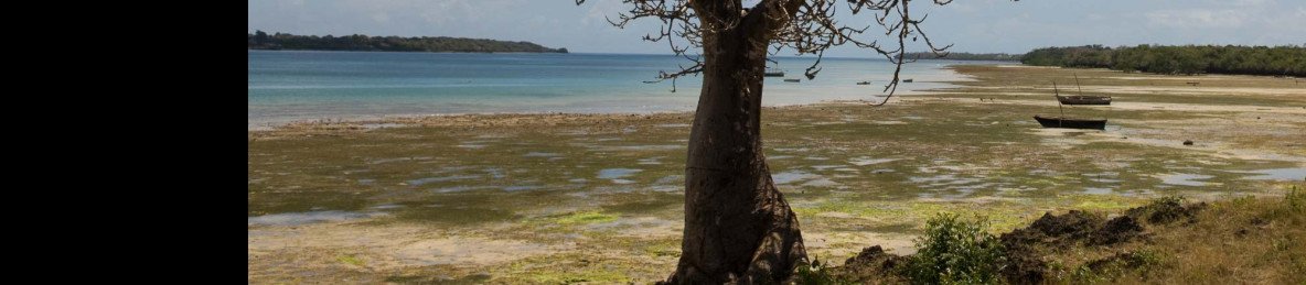 2-Day Salt Lick Safari Lodge Tour from Diani or Mombasa