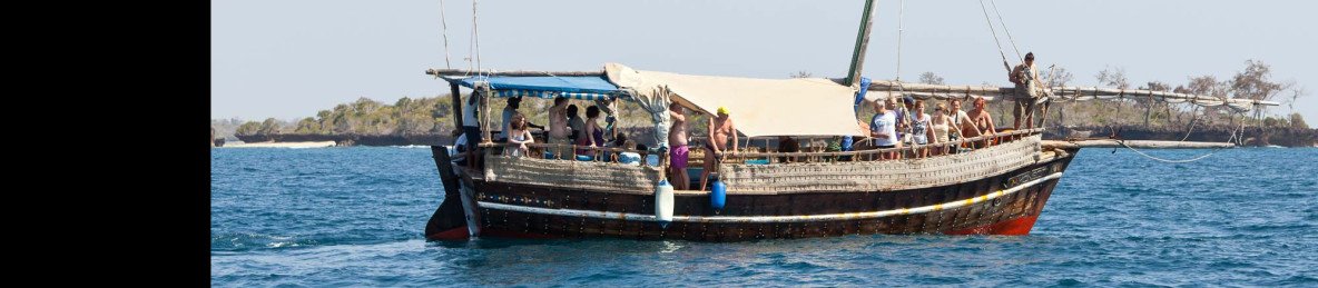 1-Day Wasini Boat-Sharing Tour, Dolphin-Snorkel-Sea-Food