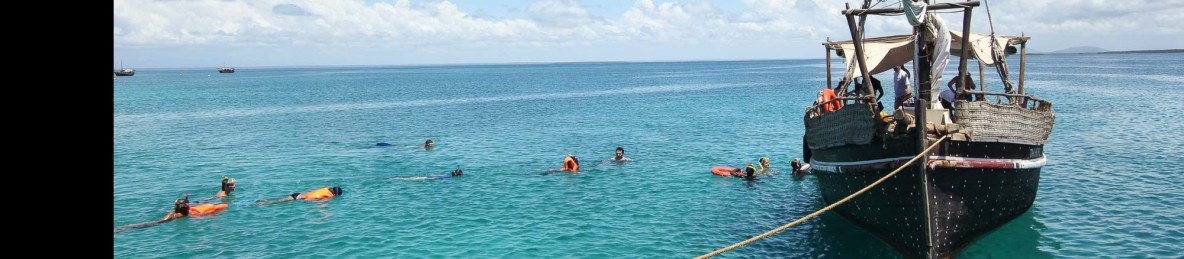 1-Day Wasini Island Dolphin & Snorkeling Tour