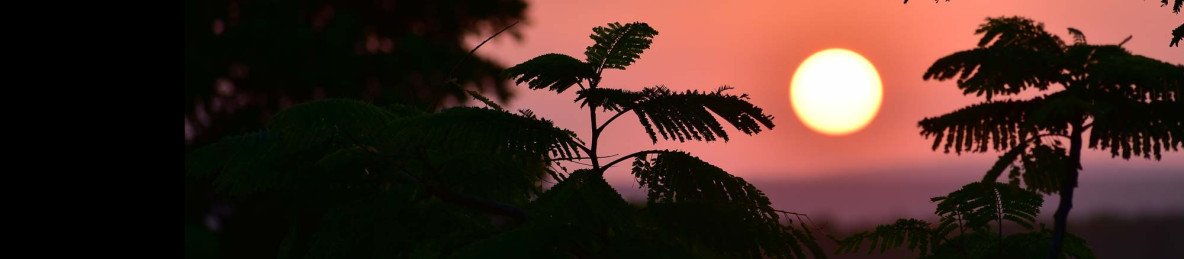 6-Day Mara and Zanzibar