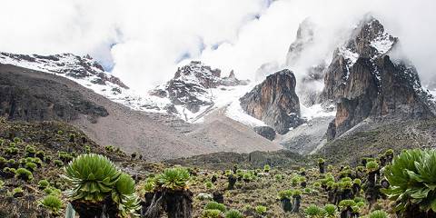 Budget camping Chogoria Gate (Mt Kenya) – Lunch & Dinner Included