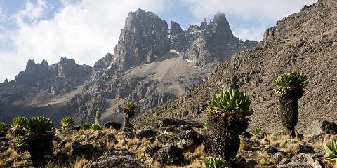 Budget camping Chogoria Gate (Mt Kenya) – Lunch & Dinner Included