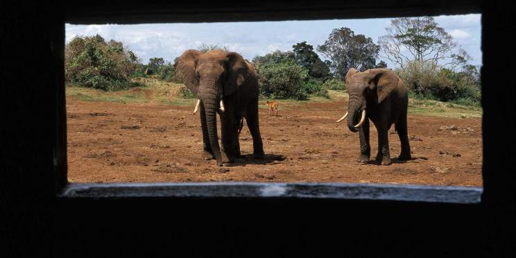 7-Day Northern Kenya Explorer Safari