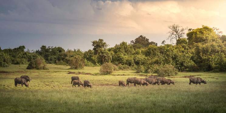 6-Day Private Meru NP/ Samburu NR/Aberdares/Sweetwaters