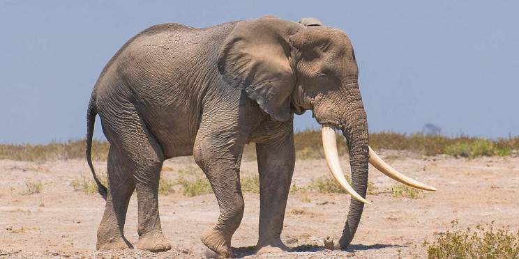 6-Day Luxury Experience Inside Kenya