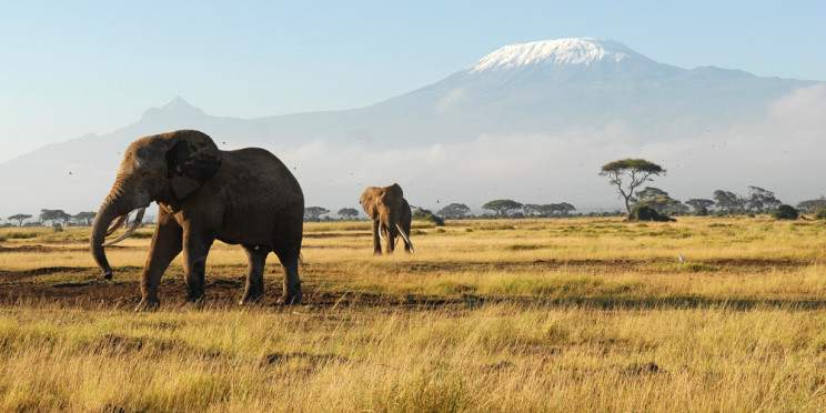 2-Day Amboseli Tour with 4x4 Jeep(Budget or Luxury Room)