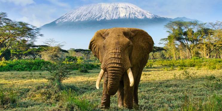 6-Day Mara, Lakes & Kilimanjaro Safari