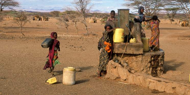 5-Day Masai Mara, Lake Nakuru & Amboseli- Mid Range