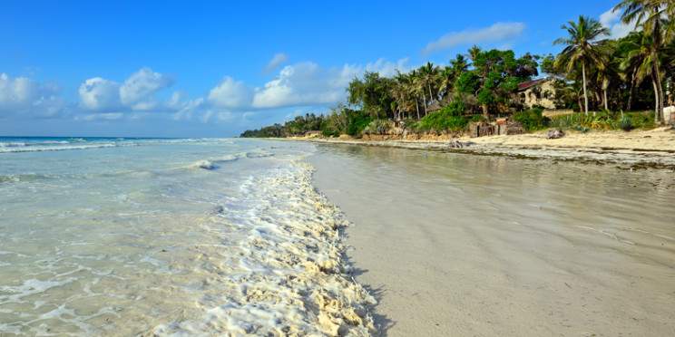11-Day Bush and Beach Opulent Tour