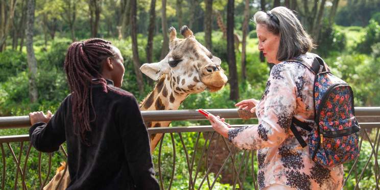 1-Day Nairobi Park , Elephant and Giraffe Center Safari