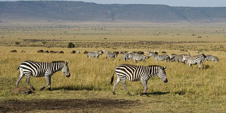 5-Day Wilderness - Lakes Group Safari