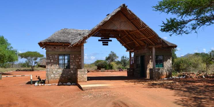 4-Day Fly – in Budget Friendly Masai Mara Safari