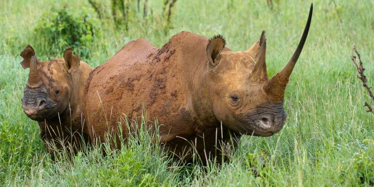 10-Day Kenyan Spirit Safari