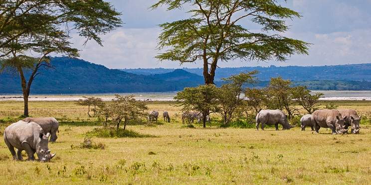 10-Day Kenyan Safari & Wildlife Photography