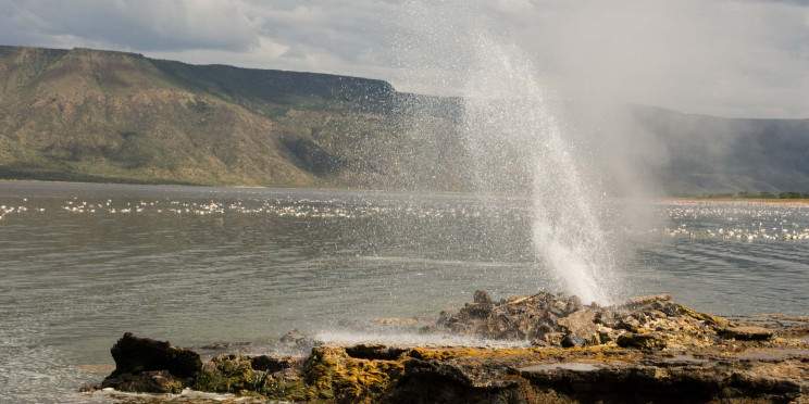 2-Day Safari to Lake Bogoria, Lake Nakuru & L Naivasha
