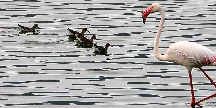12-Day Magnificent Best of Kenya Safari and Beach Tour