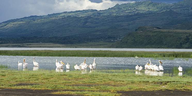6-Day Whispers of the Rift Valley Lakes