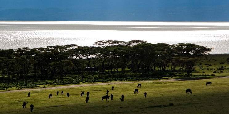 7-Day Nakuru, Naivasha & Mara in Luxury Camps and Lodges
