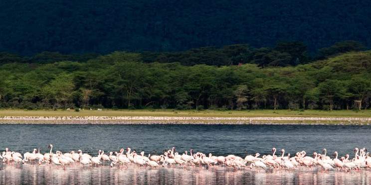 5-Day Hells Gate, Lake Nakuru and Masai Mara Mid Tour