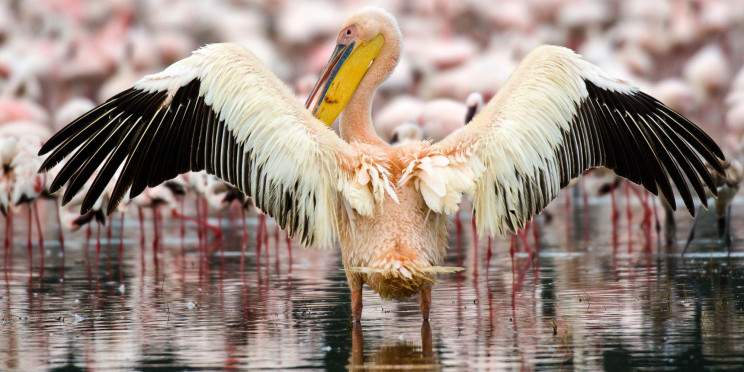 10-Day Kenya & Tanzania Budget Combo Tour