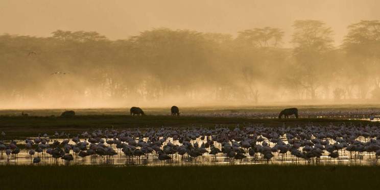 4-Day Mara & Lake Nakuru
