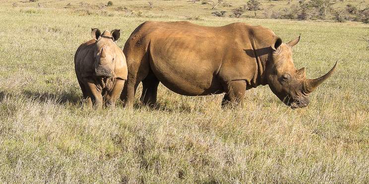 7-Day Off-the-Beaten-Path Midrange Safari