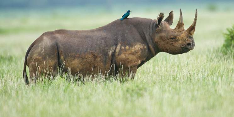 12-Day Kenya & Tanzania Remarkable Budget Group Joining