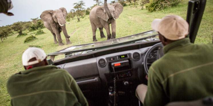 3-Day Masai Mara Kenya 4x4 Land Cruiser Budget Safari