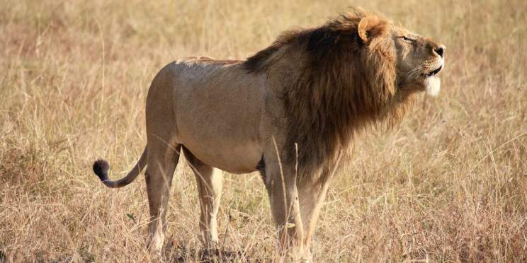 3-Day Tsavo East Safari Experience Starting from Mombasa
