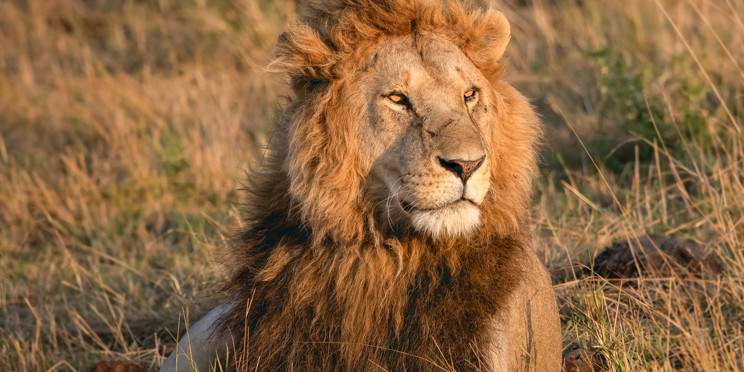 2-Day Safari to Amboseli National Park