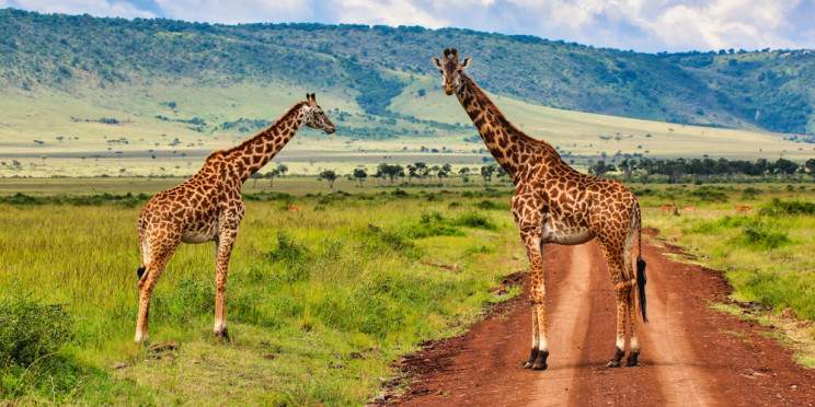 3-Day Tsavo East + Taita Hills (Eco Lodge Experience)