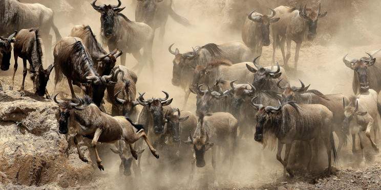 6-Day Savannahs, Lakes & Kilimanjaro Expedition