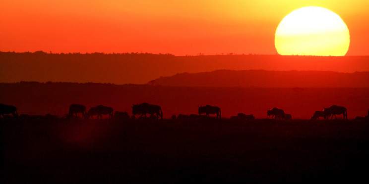 6-Day Bush Excursion