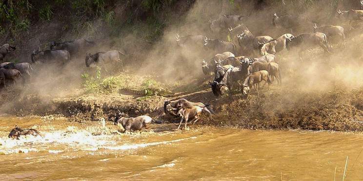 3-Day Big 5 Masai Mara Luxury Safari