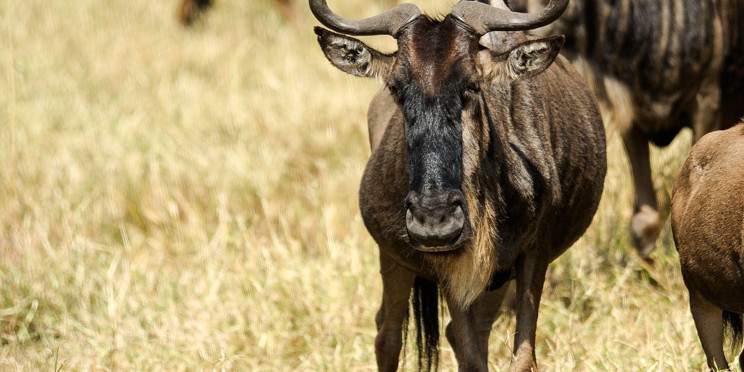 10-Day Phenomenal Bush Adventure