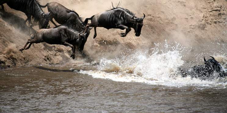 3-Day Masai Mara Budget Camping Adventure