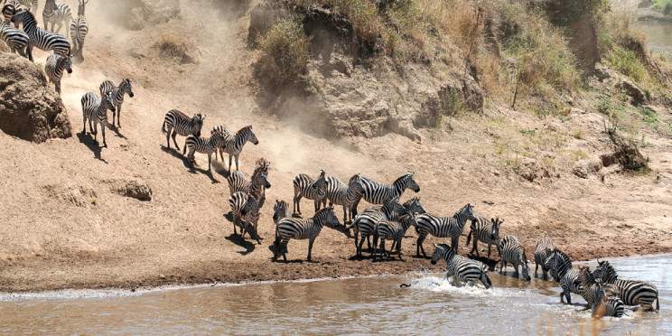 4-Day Masai Mara Trip