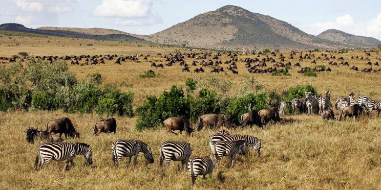 5-Day Amboseli Tsavo West from Mombasa