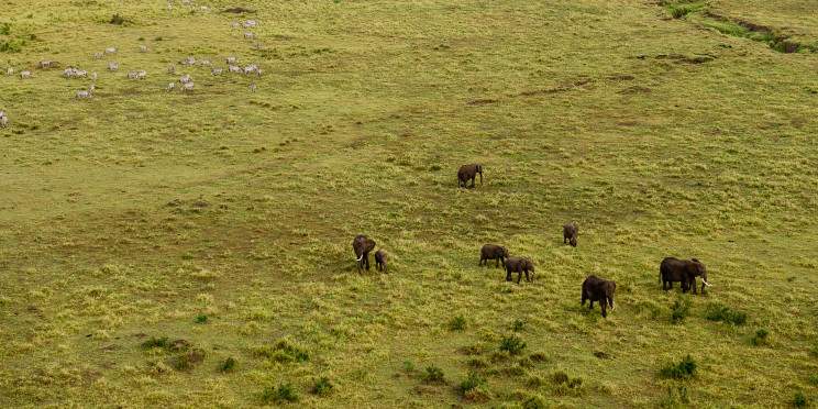 1-Day Trip to Lake Naivasha